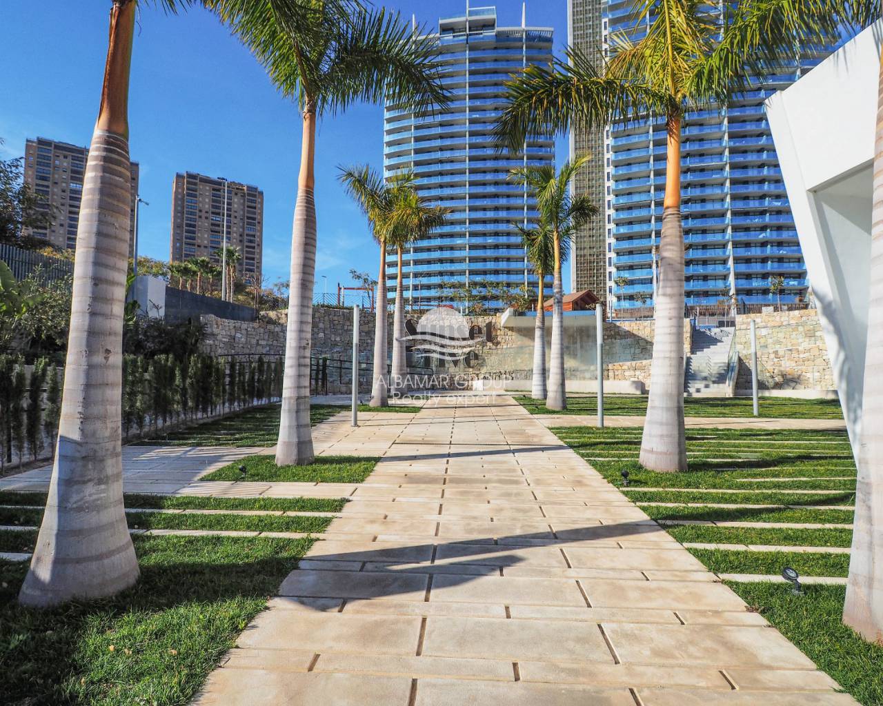 Apartamento de 2 dormitorios en alquiler en Benidorm, Alicante.